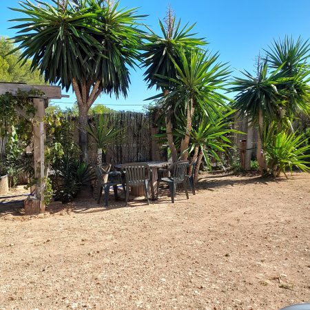Yucca elepantida con mesas de jardin.